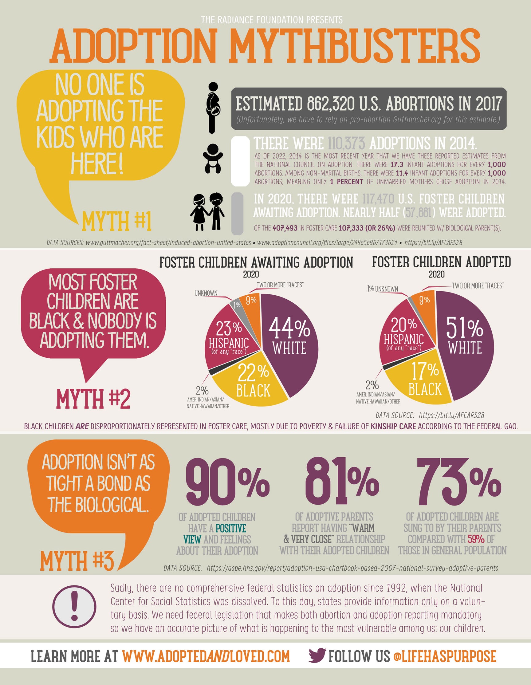 "ADOPTION MYTHBUSTERS" Infographic/Factsheet – Radiance Stuff Store